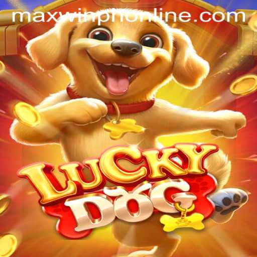Discovering the Excitement of LuckyDog and Its Connection with MAXWINPH